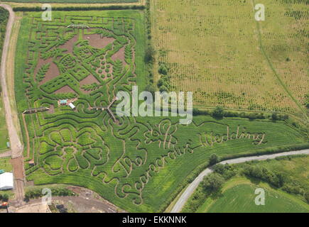 Mais Labyrinth Eröffnung des Autors, Julia Donaldsons der Vogelscheuchen Hochzeit "buchen, Staffordshire, UK - Luftaufnahme Stockfoto