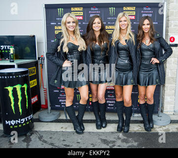 Austin, Texas, USA. 11. April 2015. MotoGP-Paddock-Girls in Aktion beim Red Bull Grand Prix of the Americas. Austin, Texas. Bildnachweis: Cal Sport Media/Alamy Live-Nachrichten Stockfoto