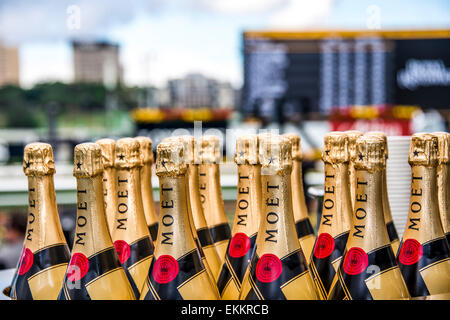 Sydney, Australien. 11. April 2015. Champagner floss für Meisterschaften Tag Royal Randwick Racecourse. Bildnachweis: MediaServicesAP/Alamy Live-Nachrichten Stockfoto