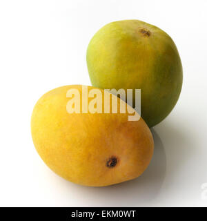 Grünen und gelben Mangos Stockfoto