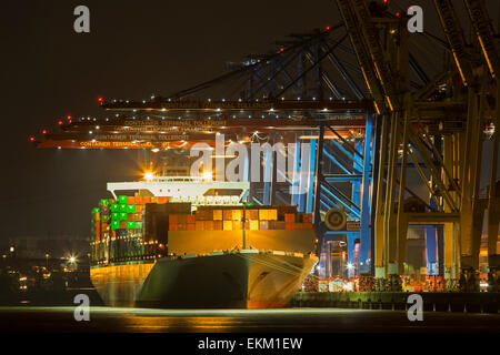 Containerschiff Container terminal Tollerort bei Nacht, Hamburg Hafen, Germany, Europe Stockfoto