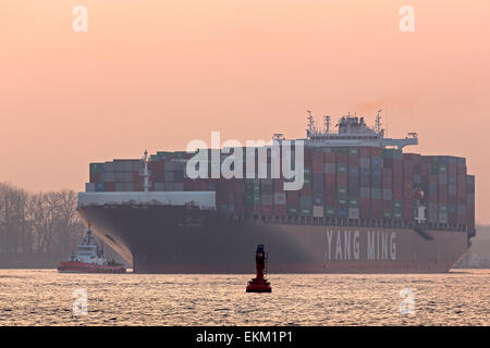 Containerschiff mit Schlepper auf der Elbe, Hamburg Stockfoto