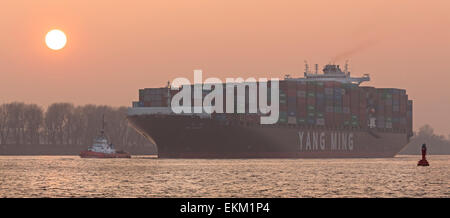 Containerschiff mit Schlepper auf der Elbe, Hamburg Stockfoto