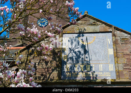 Frühling Blüte und die Sonnenuhr von St. Peter und St. Paul Kirche in Weobley, Herefordshire, England. Stockfoto