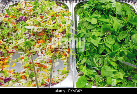 Lattuce und Salat in einem Restaurant Buffet gesehen Stockfoto