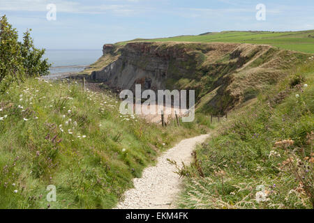 Ein Fußweg an den Klippen des Strandes von Saltwick Bay, in der Nähe von Whitby in North Yorkshire. Großbritannien Stockfoto