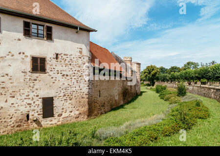 Stadtmauer, Obernai, Elsass, Frankreich Stockfoto