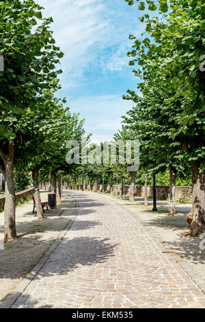 Stadtmauer, Obernai, Elsass, Frankreich Stockfoto