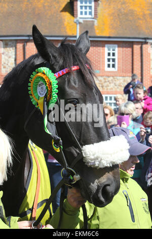 Lambourn, Berkshire, UK. 12. April 2015. Viele Wolken Grand National 2015 gewann Returnsto Pferdeparade triumphierend Menschenmenge auf dem Platz in Lambourn Berkshire 12 April Credit: Brenton West/Alamy Live-Nachrichten Stockfoto