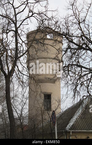 Alter Turm aus grauen Steinen verstecken sich in der Wildnis Stockfoto