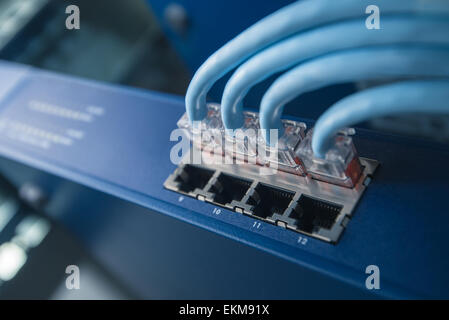 Netzwerk-Switch mit Netzwerkkabel im rack Stockfoto