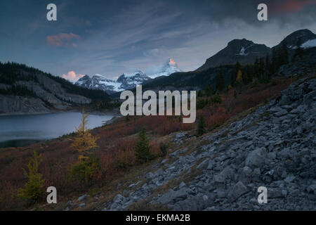 OG-See gegen Assiniboine Peak. Herbst. Kanadischen Rocky Mountains. Mount Assiniboine Provincial Park. Britisch-Kolumbien. Kanada. Stockfoto