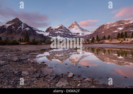 Assiniboine Höhepunkt bei Sonnenuntergang. Kanadischen Rocky Mountains. Mount Assiniboine Provincial Park. Britisch-Kolumbien. Kanada. Stockfoto