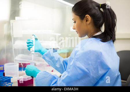 Closeup Portrait, Wissenschaftler halten 50 mL konische Rohr mit blauen flüssige Lösung experimentieren Labor, Stockfoto