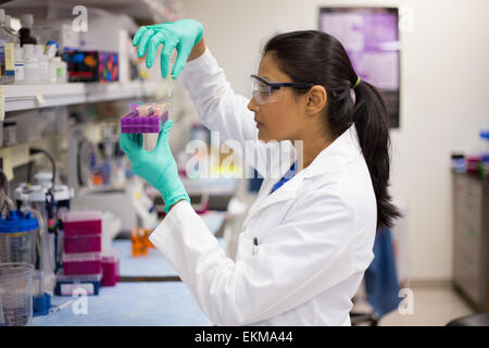 Closeup Portrait, junger Wissenschaftler in Experimenten im Labor, akademischen Sektor Laborkittel. Stockfoto