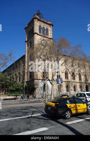 Universität von Barcelona (Universitat de Barcelona) Gebäude Fassade im Plaza Universidad, Barcelona, Katalonien, Spanien Stockfoto