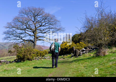 Kaukasische Wanderer zu Fuß die Dane Valley Way Wanderweg, Peak District National Park, Staffordshire, England, UK Modell veröffentlicht Stockfoto