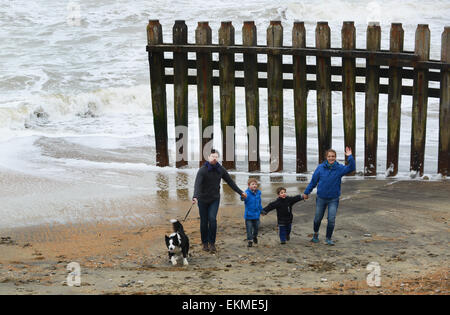 Hund der Familie zu Fuß am Strand von Ventnor Isle Of Wight Stockfoto