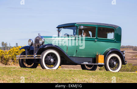 Oldtimer im Wettbewerb mit der Narzisse im New Forest Run an einem sonnigen Tag. Stockfoto