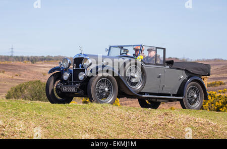 Oldtimer im Wettbewerb mit der Narzisse im New Forest Run an einem sonnigen Tag. Stockfoto