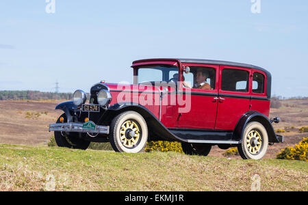 Oldtimer im Wettbewerb mit der Narzisse im New Forest Run an einem sonnigen Tag. Stockfoto