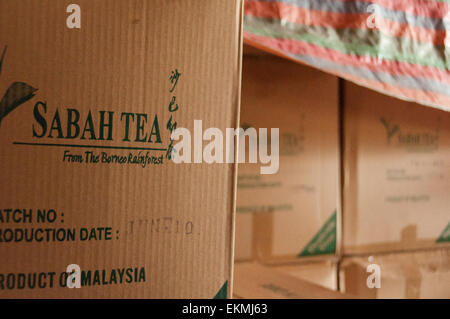 Sabah Tee Produkte versandbereit, Borneo, Malaysia Stockfoto