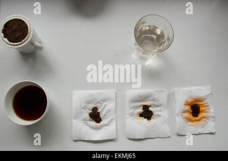 Tee-Test Sabah, Borneo, Malaysia Stockfoto