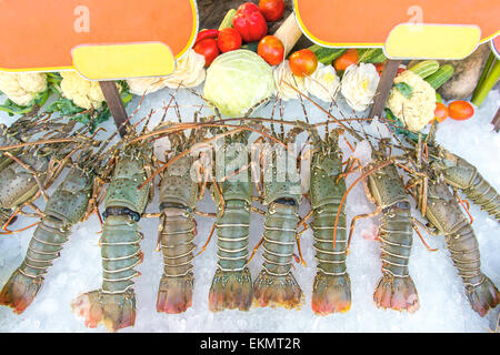 Frischer Hummer auf Eis im restaurant Stockfoto