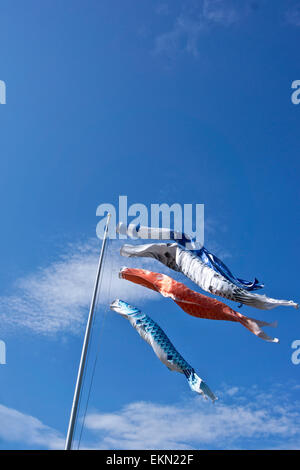 Koinobori fliegende Karpfen Stockfoto