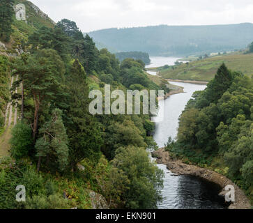 Landschaftsbild Blick hinunter auf den Fluss fließt durch Wald im Sommer Stockfoto