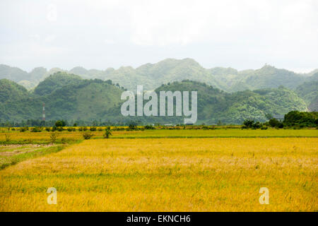Dominikanische Republik, Osten, Autopista del Nordeste von Nagua Nach Santo Domingo, Hügel des Nationalparks Los Haitises Stockfoto