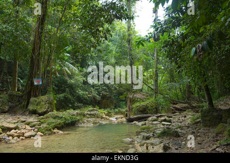 Dominikanische Republik, Osten, Wasserfall Salto de Socoa der Autopista del Nordeste von Nagua Nach Santo Domingo Stockfoto