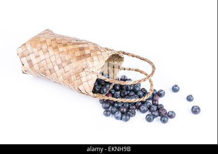 Weidenkorb mit Heidelbeeren isolieren auf weiß Stockfoto