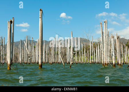 Dominikanische Republik, Südwesten, Halbinsel Nachbardorf, Parque Nacional Lago Enriquillo, Stockfoto