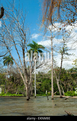 Dominikanische Republik, Südwesten, Halbinsel Nachbardorf, Parque Nacional Lago Enriquillo, Stockfoto