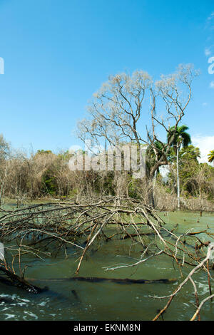 Dominikanische Republik, Südwesten, Halbinsel Nachbardorf, Parque Nacional Lago Enriquillo, Stockfoto