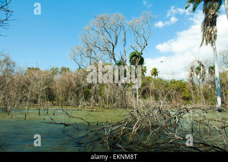 Dominikanische Republik, Südwesten, Halbinsel Nachbardorf, Parque Nacional Lago Enriquillo, Stockfoto