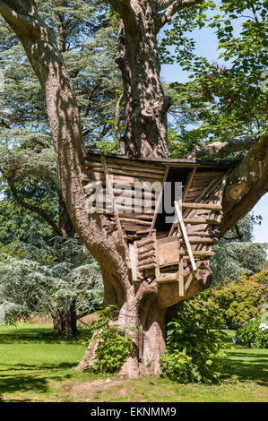 Plas Newydd, Anglesey, Wales, UK. Ein Baumhaus im Garten Stockfoto