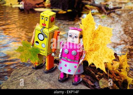 Roboter sammeln Blätter im Herbst durch den Fluss. Stockfoto