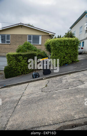 Baldwin Street, Dunedin, New Zealand, Steepest Straße der Welt. Stockfoto