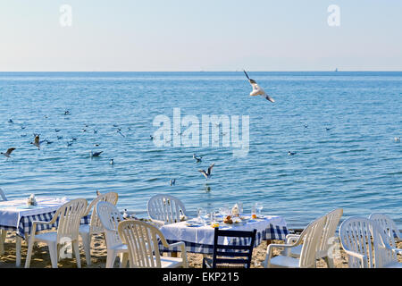 Exotische Szene nach dem Abendessen am Strand und eine Herde von Möwen fliegen Stockfoto