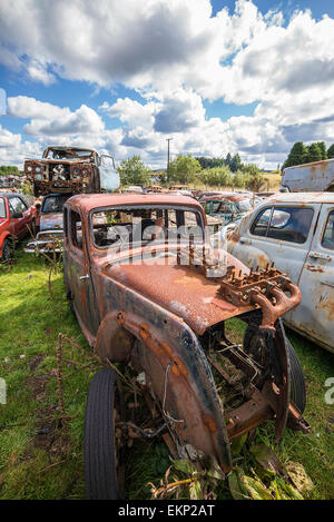 Smash Palace Auto Schrottplatz auf North Island, Neuseeland. Stockfoto