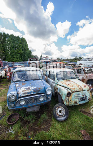 Smash Palace Auto Schrottplatz auf North Island, Neuseeland. Stockfoto