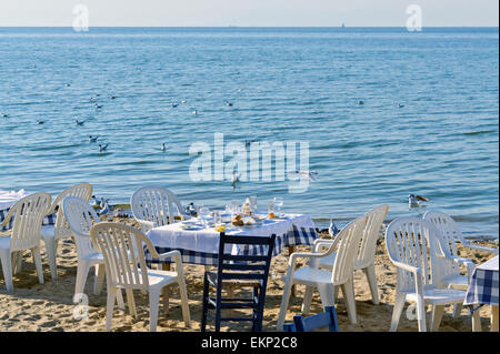 Exotische Szene nach dem Abendessen am Strand und eine Herde von Möwen fliegen Stockfoto