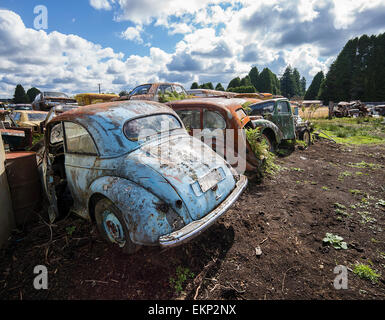 Smash Palace Auto Schrottplatz auf North Island, Neuseeland. Stockfoto