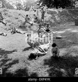 Leute, Sonnenbaden in einer Hitzewelle an der Serpentine Lido, Hyde Park, London. 29. Juli 1958. Stockfoto