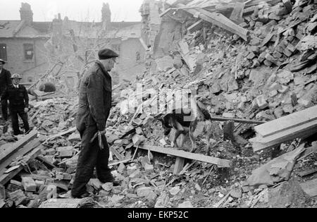 V2-Rakete Vorfall bei Farrant Avenue, Herrschaft Lane, Wood Green. Hunde, die Suche nach Überlebenden zu helfen. 3. März 1945. Stockfoto