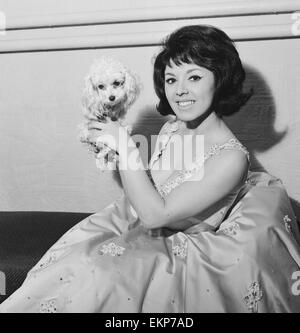 Schauspielerin und Sängerin Susan Maughan in fröhlicher Stimmung, nachdem sie gewählt wurde, um in der königlichen abwechslungsreich Show angezeigt werden. 17. Oktober 1963. Stockfoto