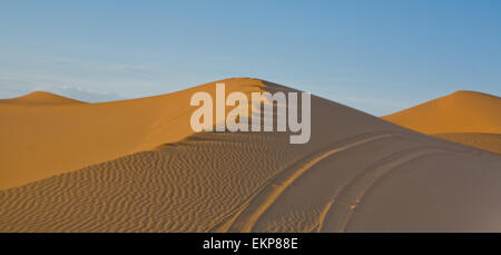 Einige Schleifen Hügel am Erg Chebbi in der Wüste Sahara.  Ers sind große Dünen von Wind-durchgebrannten Sand gebildet. Marokko Stockfoto