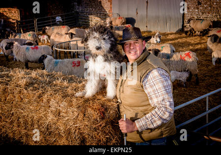 Darren Greenfield - Schäfer auf der South Downs mit Belle seine Bearded Collie Schäferhund und Neugeborene Lämmer. Stockfoto